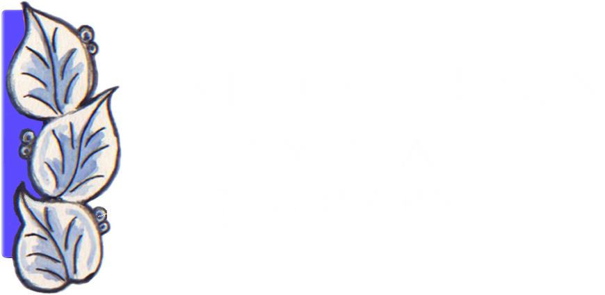 Stephenson Physical Therapy